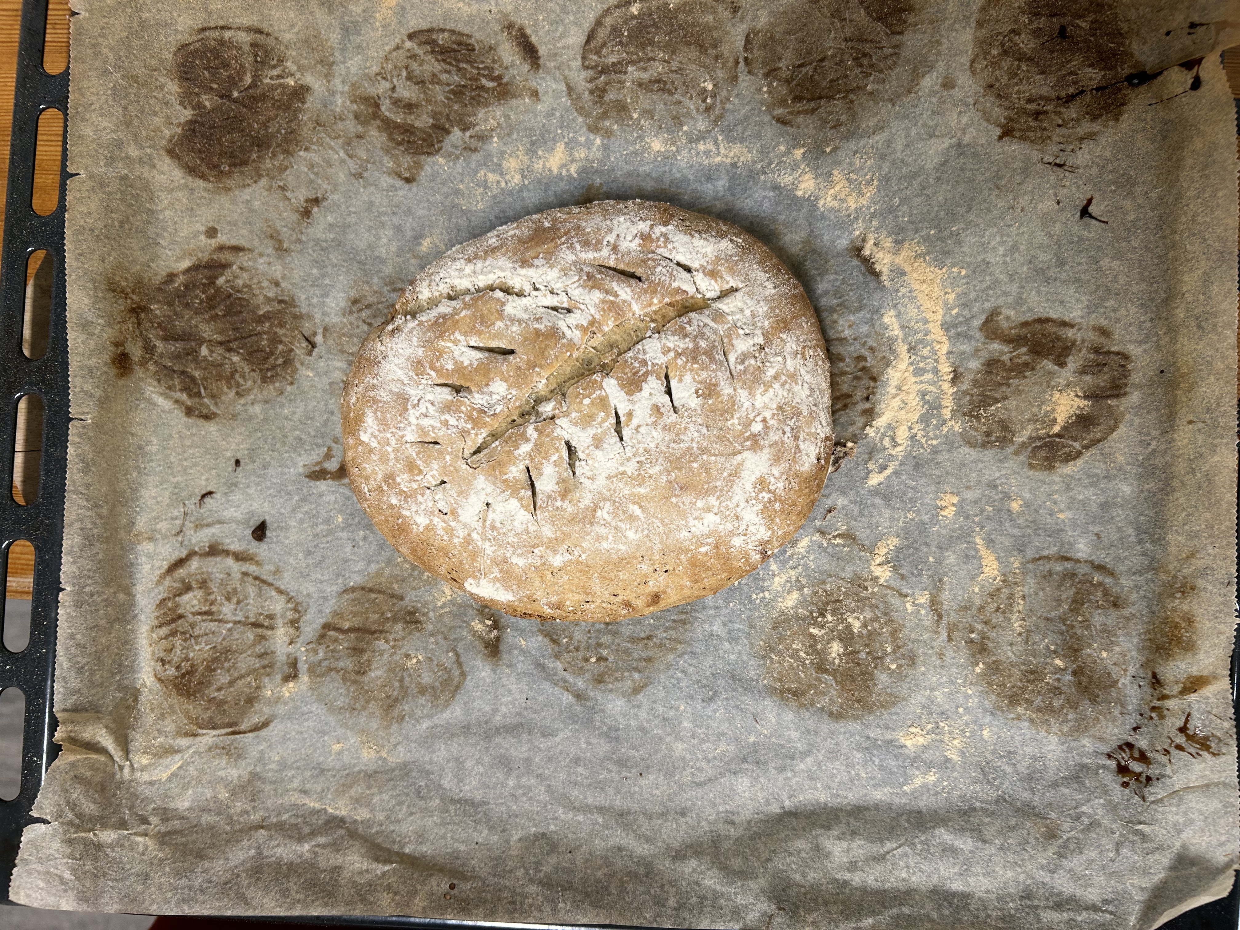 Hjemmebakt barkebrød på stekebrett med bakepapir