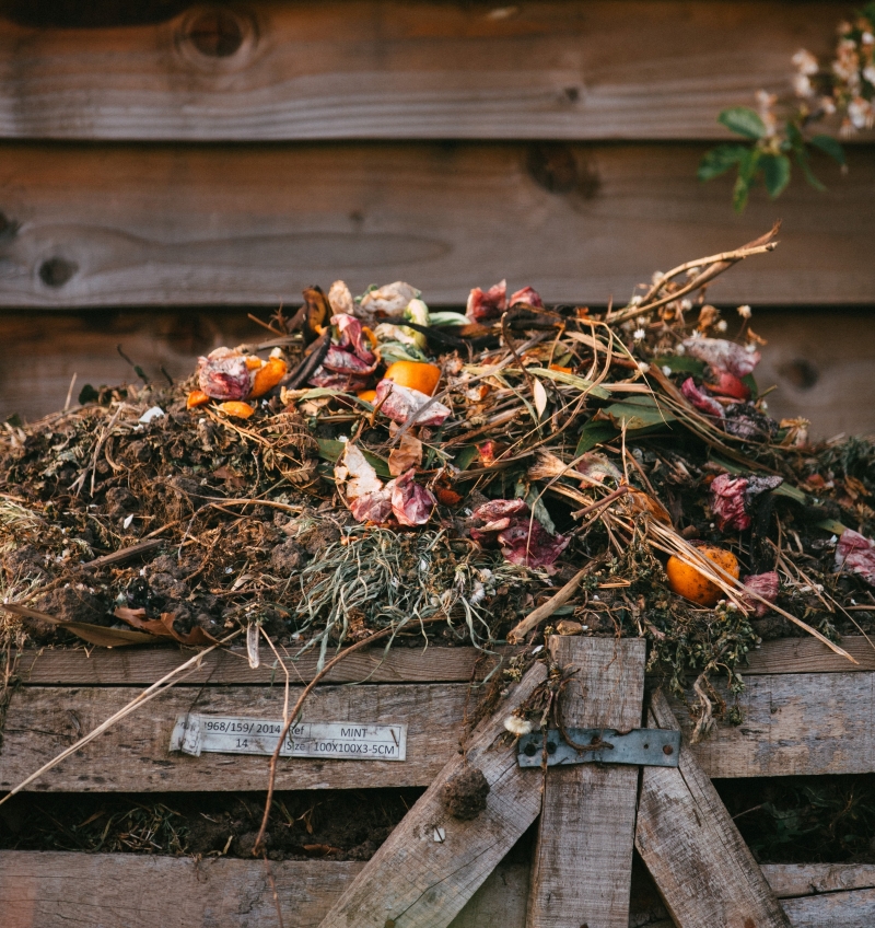 Photo by Edward Howell on Unsplash