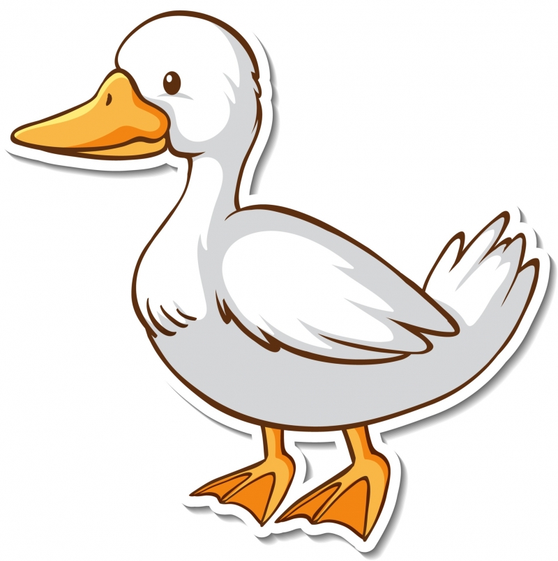 gås