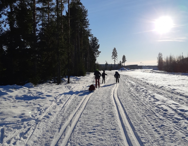 Tre speidere på skitur i vinterlandskap, én drar en rød pulk