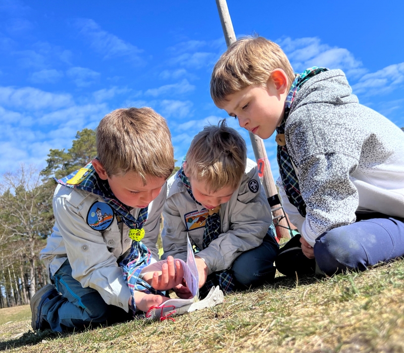 Tre småspeidere sitter i gresset og ser på noe sammen