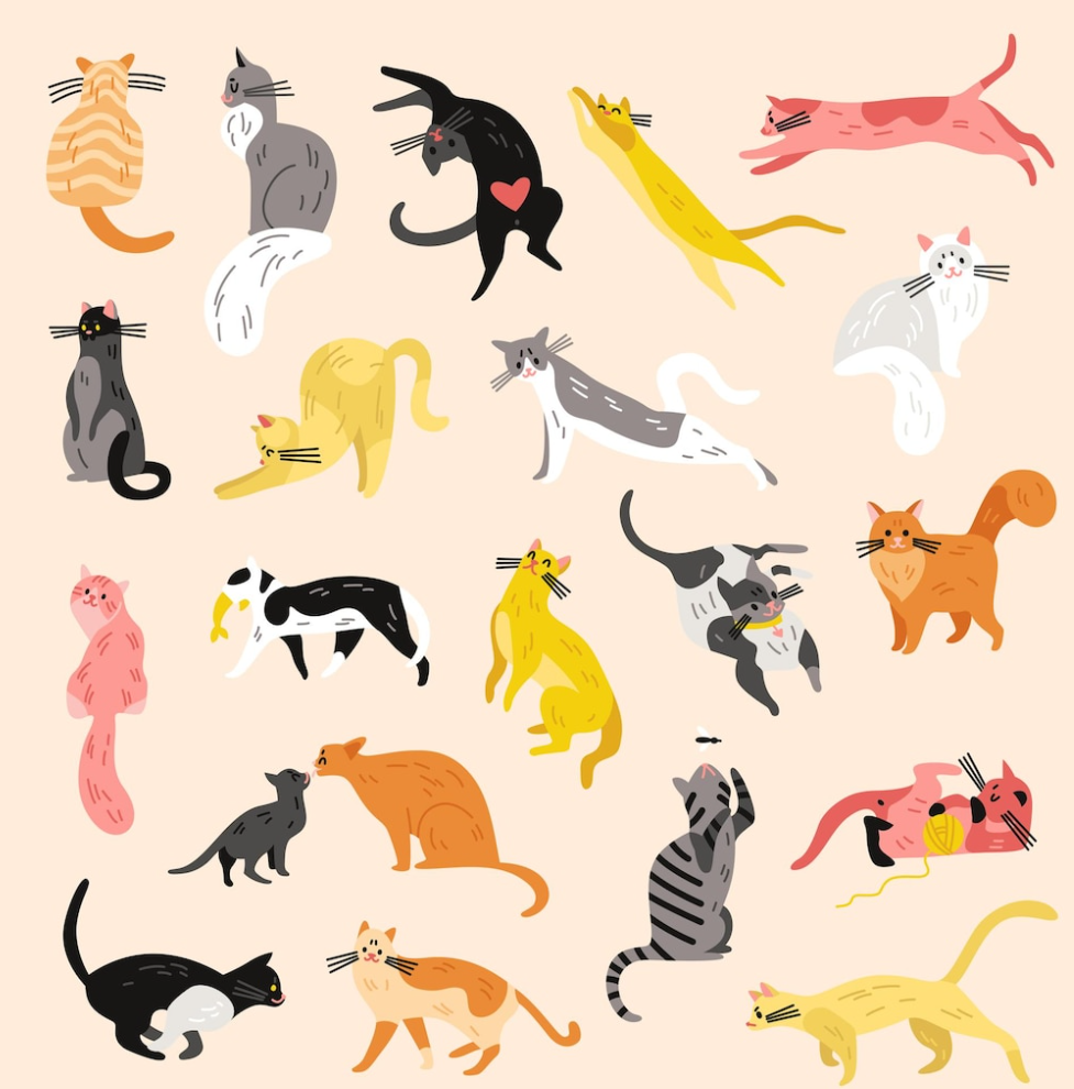 Illustrasjon av katter med haler i ulike posisjoner og farger