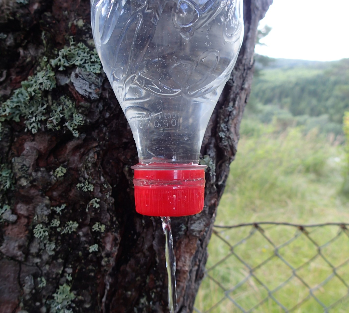 Plastflaske hengt opp ned i tre med rød kork og vannstråle – enkel flaskehåndvask