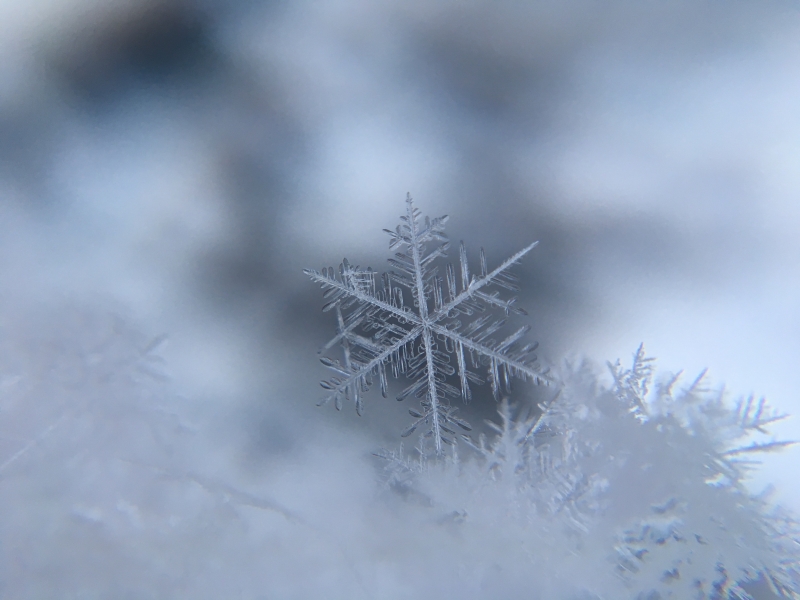 Nærbilde av et snøfnugg mot hvit snø