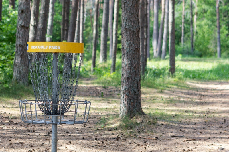 Discgolfkurv med kjettinger i en skog