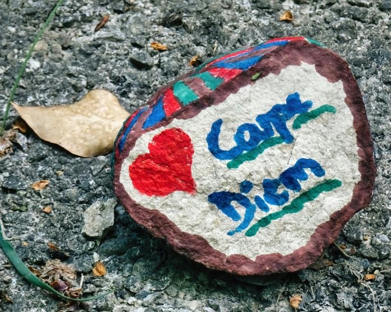 Stein med maling og teksten "Carpe Diem"