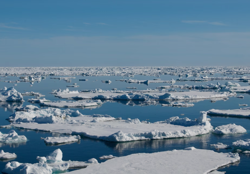 Isflak i Arktis-havet