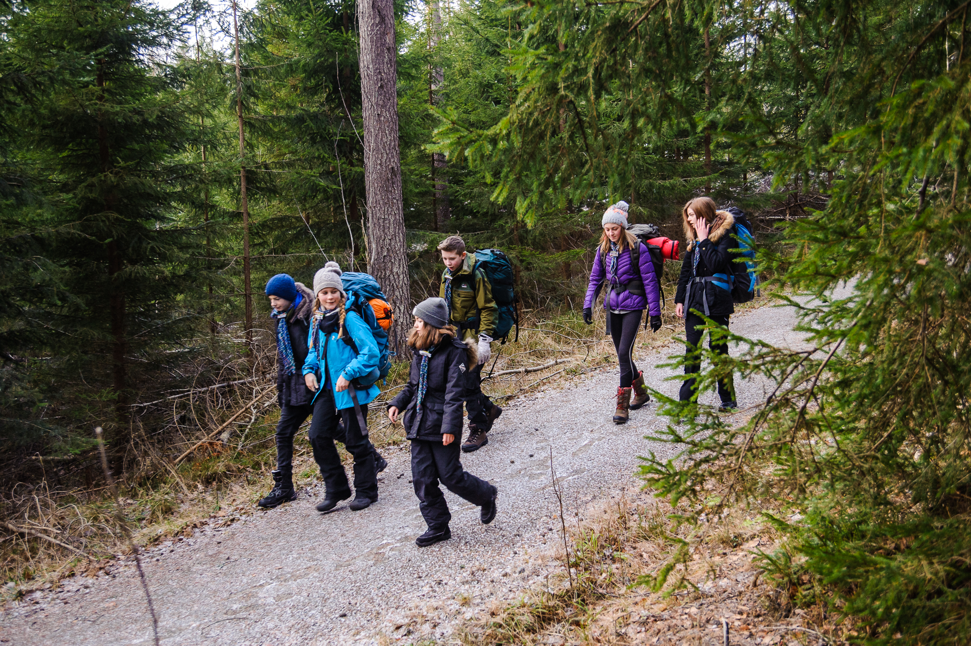 Patrulje på tur i skogen