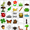 Naturbingo