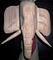 Elefant