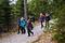 Patrulje på tur i skogen